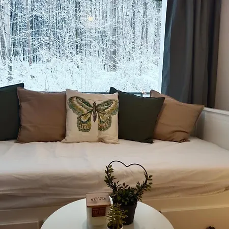 Alpine Base Near Hallstatt דירה באד גויסרן