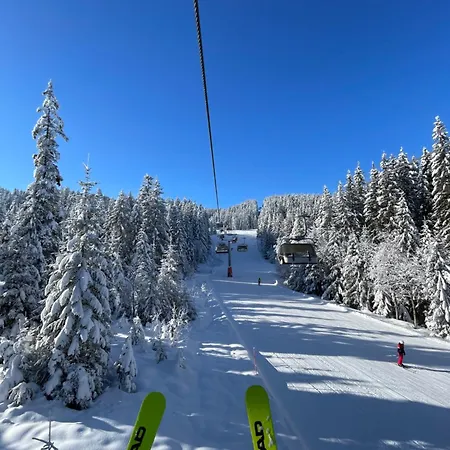 Alpine Base Near Hallstatt דירה *