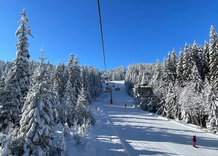 Alpine Base Near Hallstatt דירה *